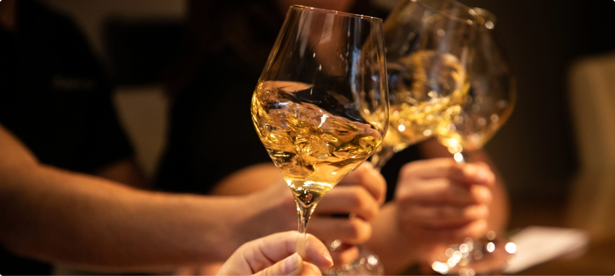 Understand, learn, discover wine culture differently